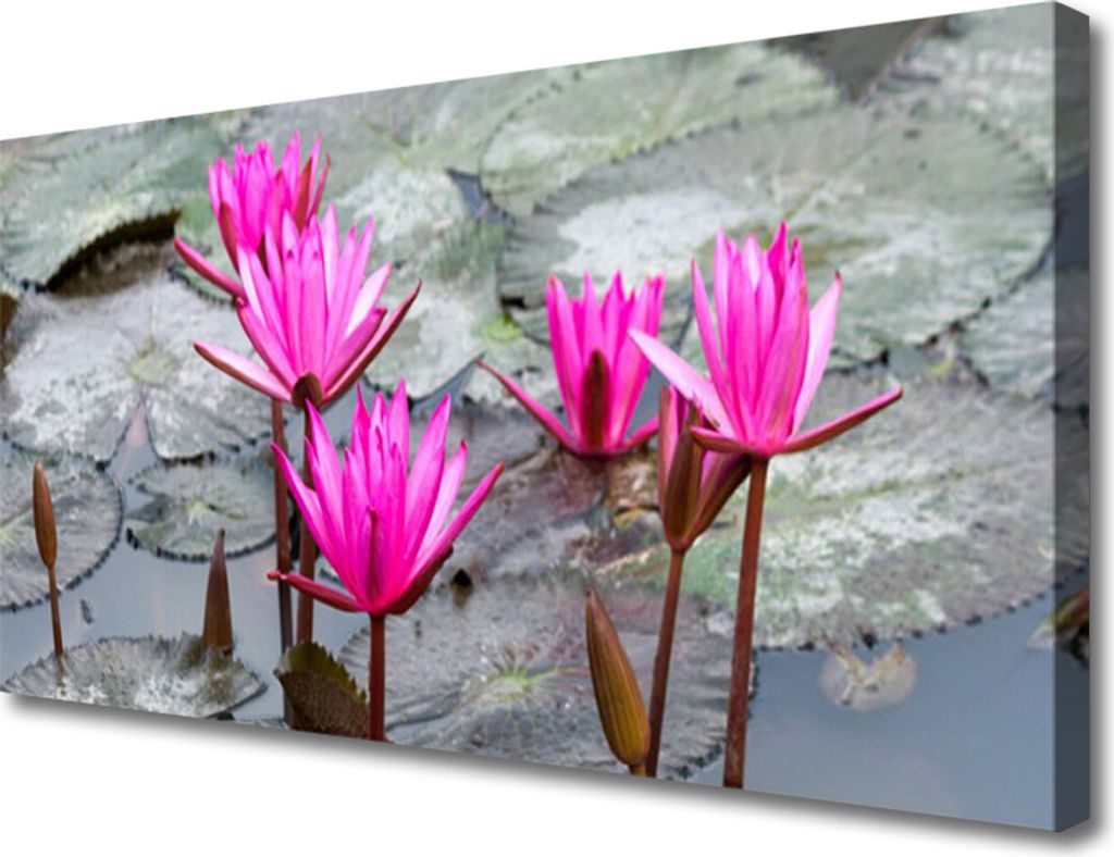 Tulup Leinwand-Bilder 100x50 Wandbild Canvas Kunstdruck Blumen Pflanzen