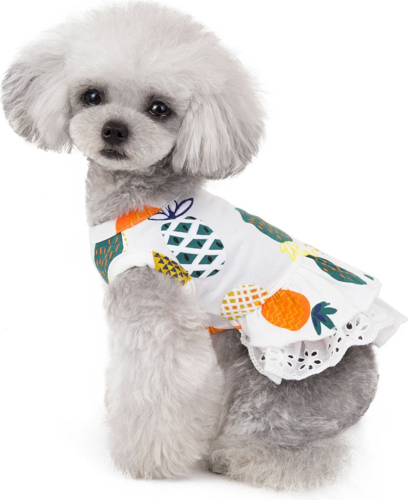 Ananas Muster Pet Rock Frühling und Sommer Katze und Hund Kleidung - L White