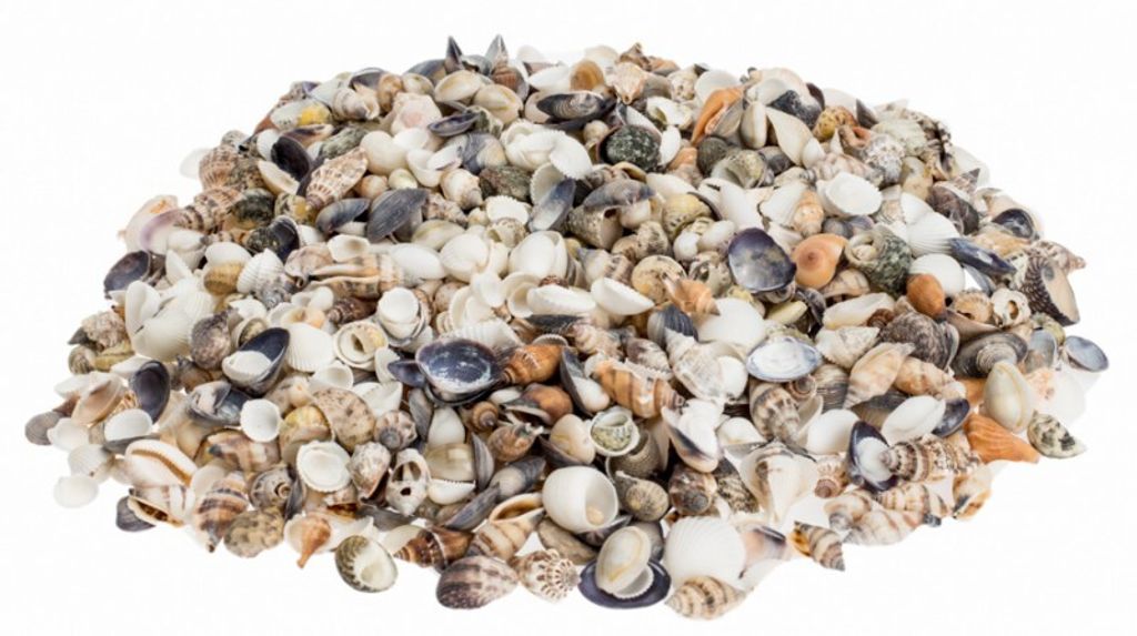 NaDeco Muschelmix Small 0,5 kg, kleine Muscheln und Produktbild 