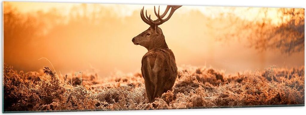 Bilder auf glas - Hirsch Natur Feld - 160x50cm - Glasbilder - Wandbilder - Kunstdruck - zum Aufhängen bereit - Wanddekoration aus Glas - Glas Bild...