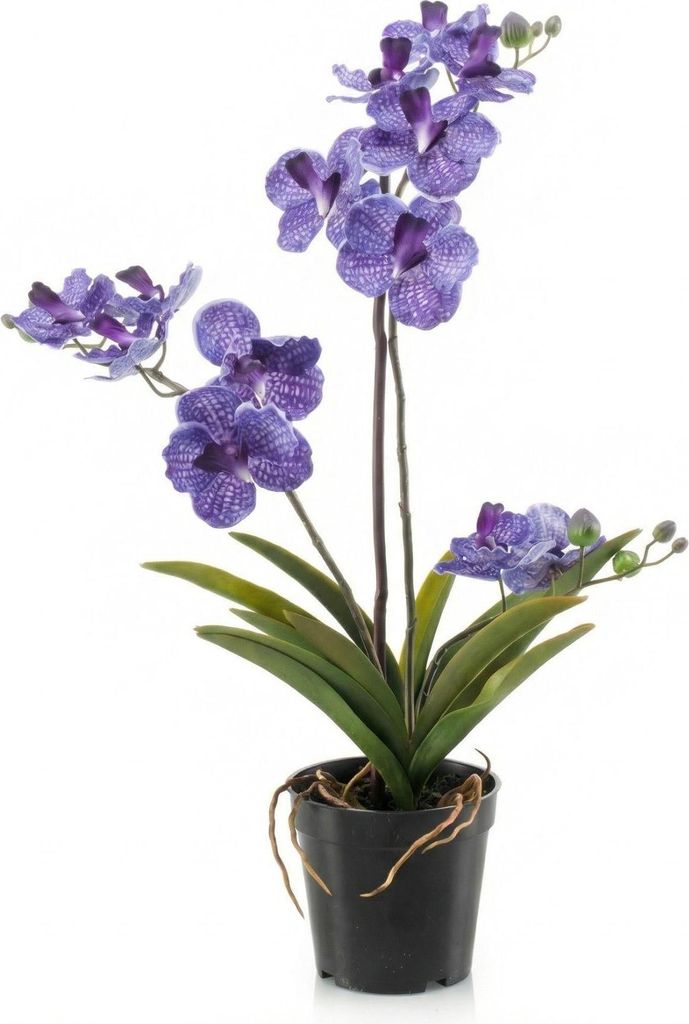 Orchidee Vanda Kunstpflanze – ca.60cm – Violett – Künstliche Orchidee im Topf – Pflegefreie Dekopflanze für Wohnzimmer Büro & Empfang