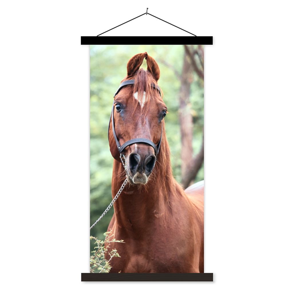 MuchoWow Textilposter Pferd - Wald - Halfter 60x120 cm mit schwarzem Rahmen - Magnete