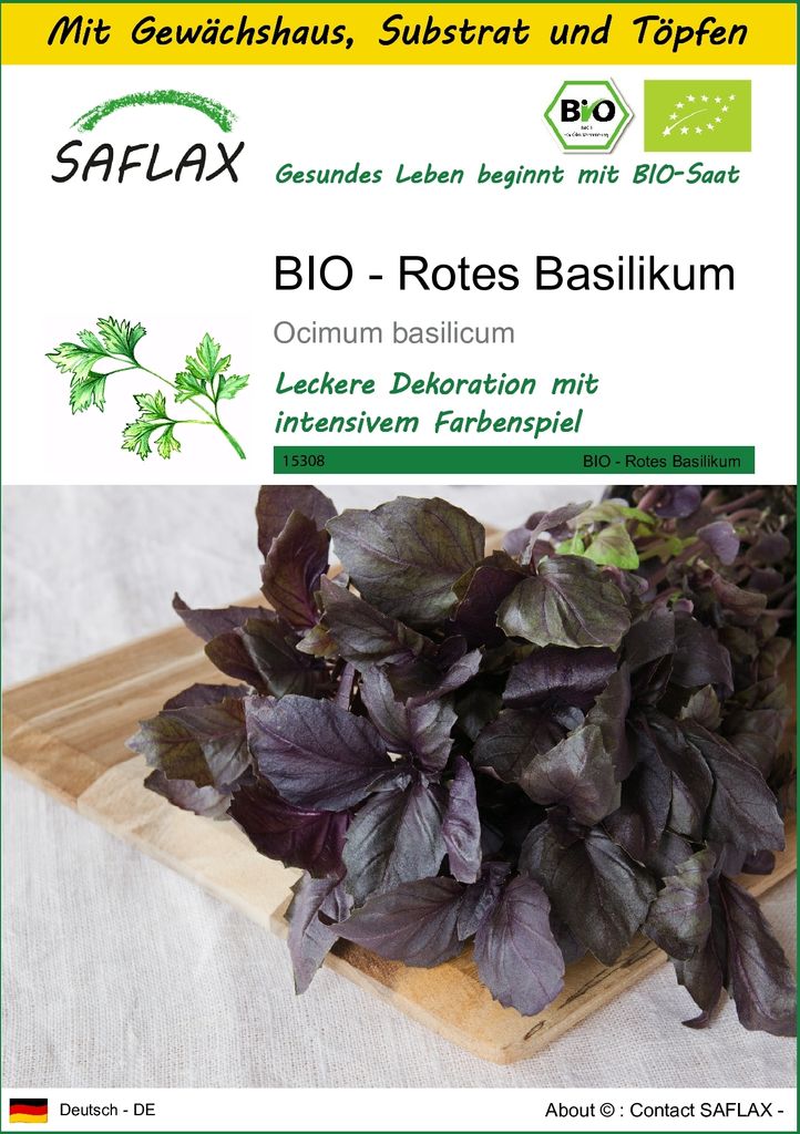 SAFLAX Anzucht Set - BIO - Rotes Basilikum - Ocimum basilicum - 400 Samen - Mit Mini-Gewächshaus, Anzuchtsubstrat und 2 Töpfen