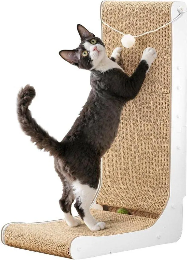 Support mural pour chat grand format - Couchage en bois et boules jeu