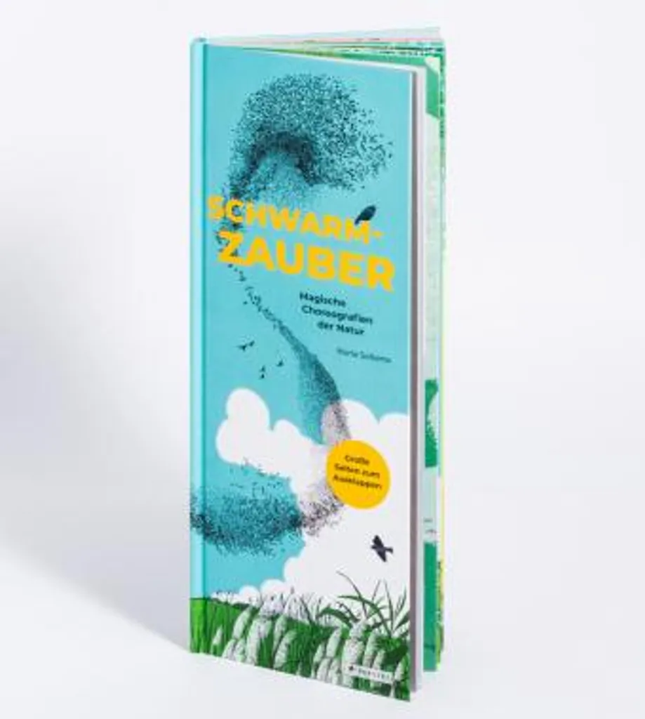 Schwarmzauber : le guide visuel pour comprendre l'intelligence collective - 3