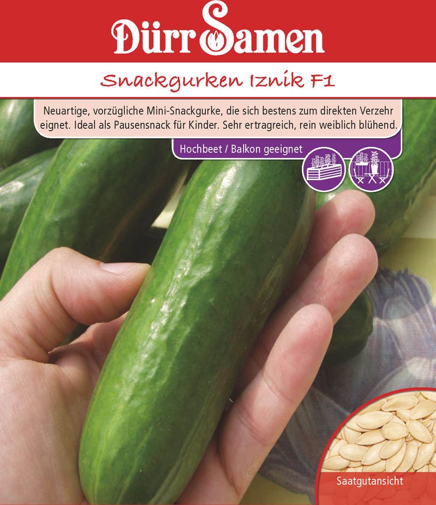 Salatgurke Iznik F1 | Salatgurkensamen von Dürr Samen Produktbild 