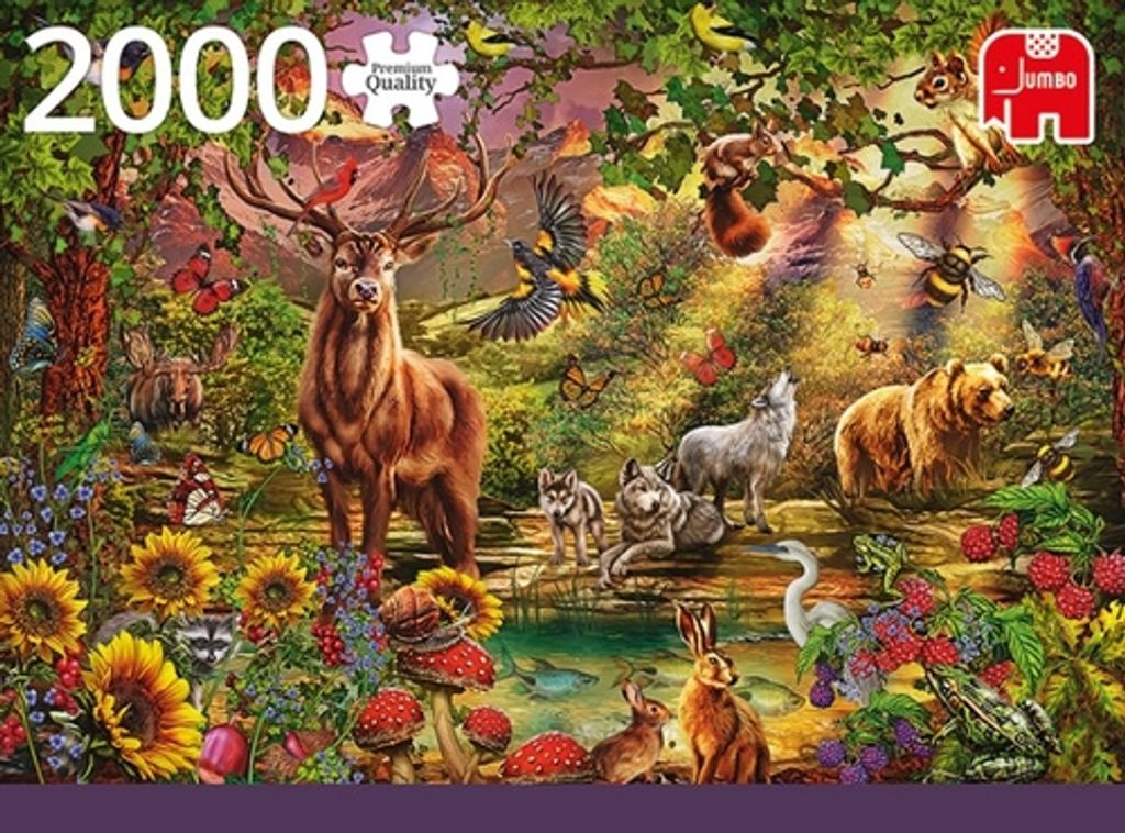 Premium Collection Zauberwald bei Sonnenuntergang - 2000 Produktbild 