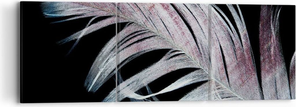 Bild auf Leinwand - Leinwandbild - 3 Teile - Feder die Farben Zartheit - 90x30cm - Wand Bild - Wanddeko - Wandbilder - Leinwanddruck - Bilder - Wan...