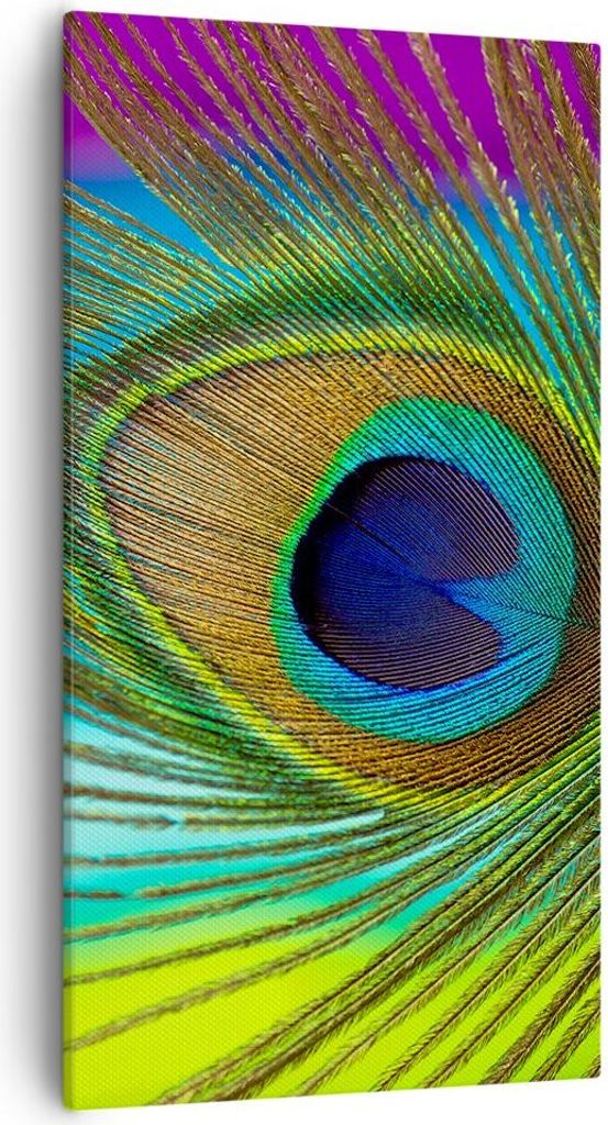 Bild auf Leinwand - Leinwandbild - Einteilig - Pfauen Federn Regenbogen - 55x100cm - Wand Bild - Wanddeko - Wandbilder - Leinwanddruck - Bilder - W...
