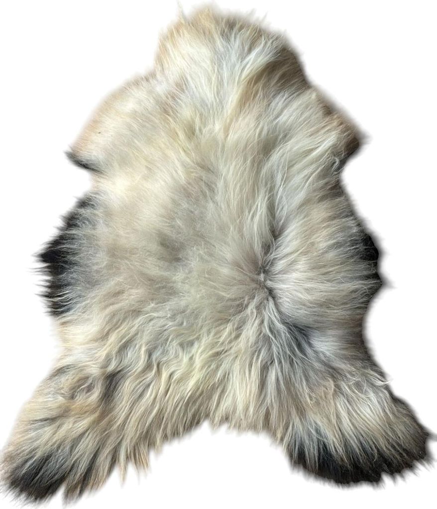 Island Lammfell – Ganzes Schaffell, Langhaarig Cremeweiß mit Schwarzen Spitzen 120-140 cm