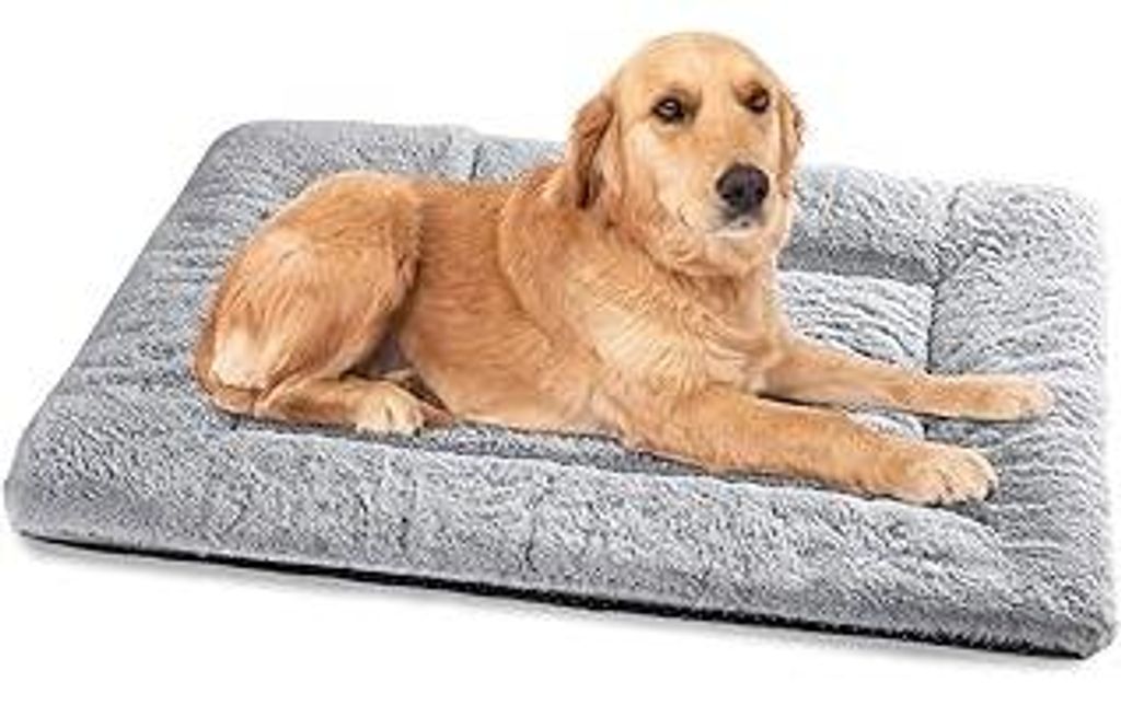 Baodan Hundebett Mittelgroße Hunde Waschbar, 90x60 cm Hundekissen Flauschig mit Rutschfeste Unterseite, Hundebetten für Mittelgroße Hunde, Grau