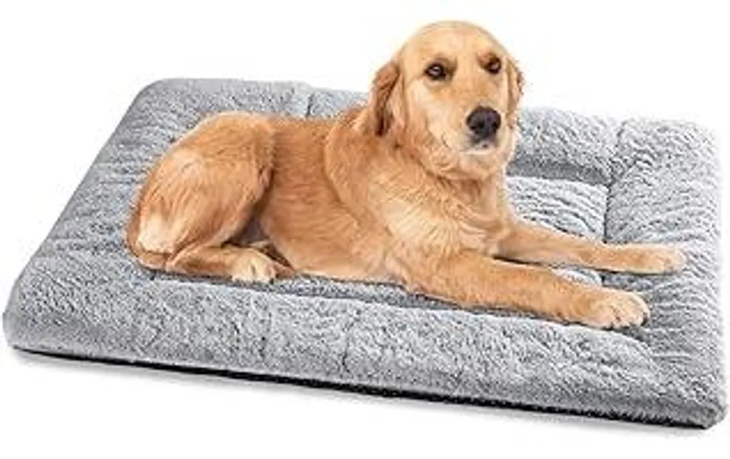 Baodan Lettino per cani di taglia media Lavabile, 90x60 cm Cuscino per cani Morbido con fondo antiscivolo, Lettini per cani di taglia media, Grigio
