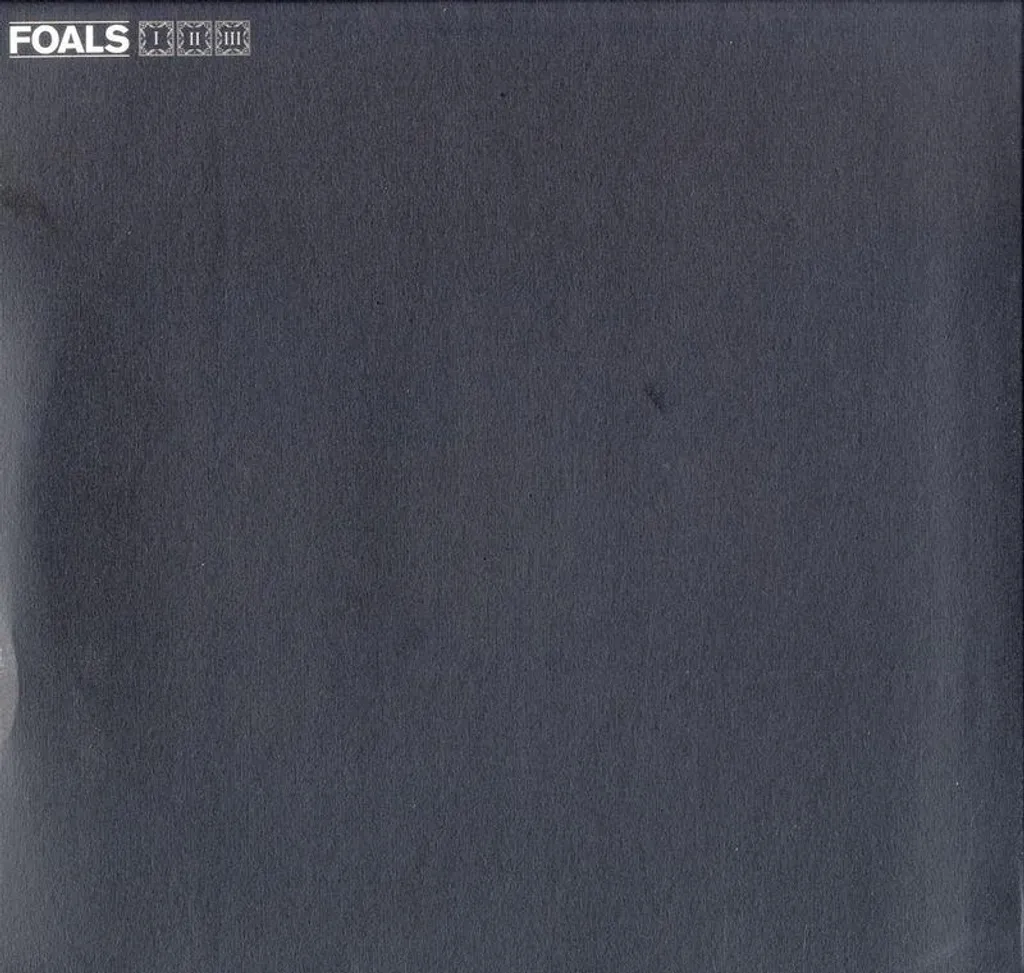 Foals Collected Reworks Vinyle Coloré Edition Limitée Triple LP