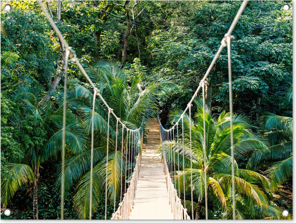 MuchoWow 80x60 cm Outdoor-Poster Gartendeko Sichtschutz Garten Poster für den Garten Dschungel - Palme - Brücke - Natur - Pflanzen