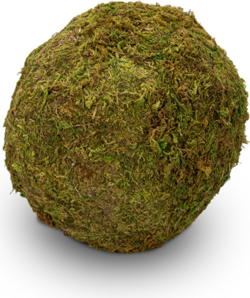 Moos Ball Ø 20cm | Moos Kugel
