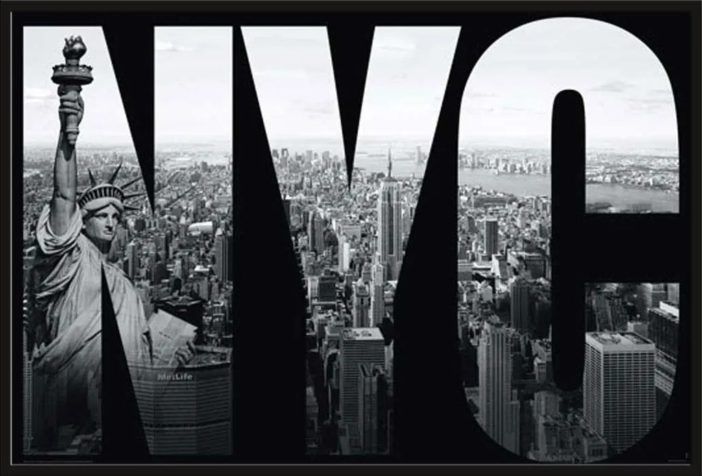 Affiche NYC Encadrée Shinsuke - Cadre Robuste avec Vitre Incassable
