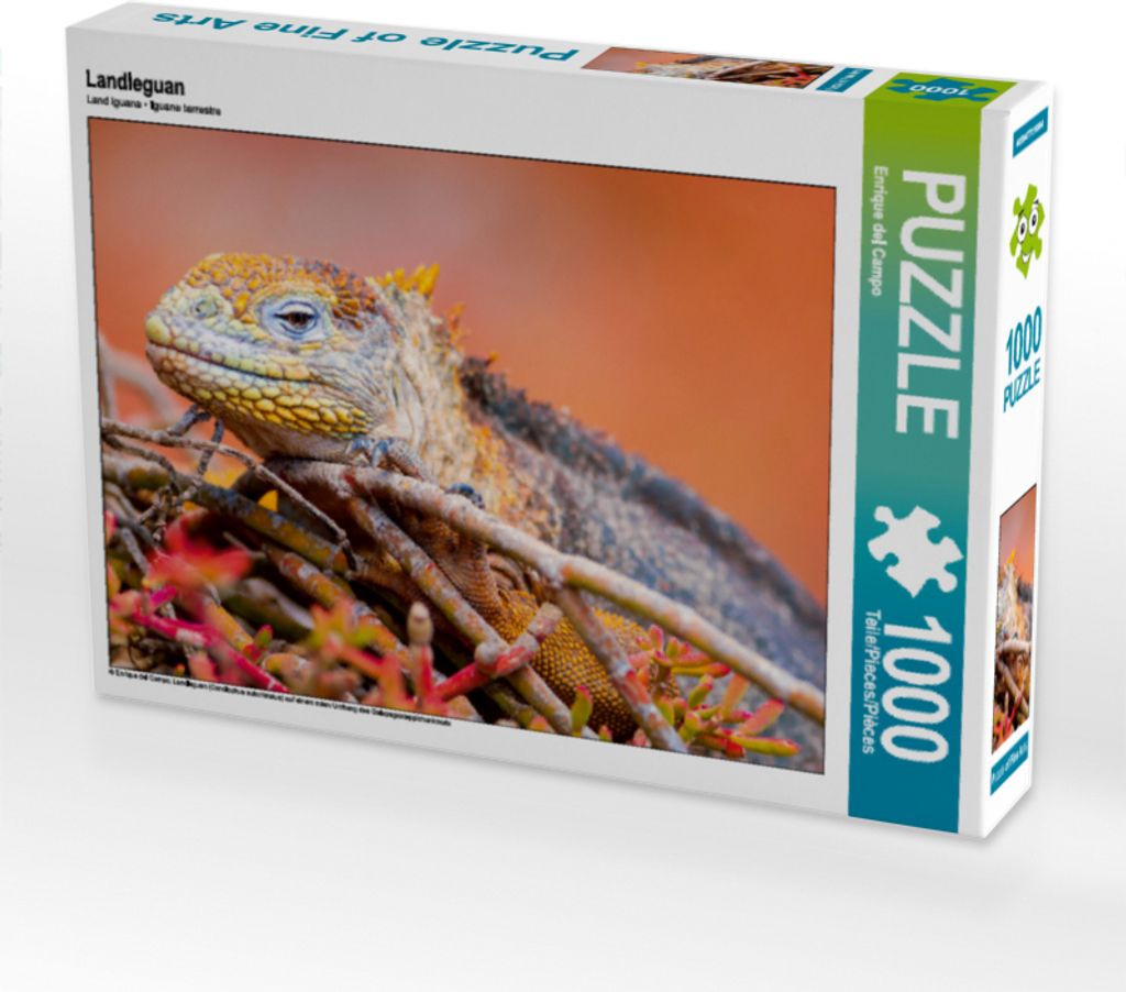 CALVENDO Puzzle Landleguan 1000 Teile Puzzle quer | 1000 Produktbild 