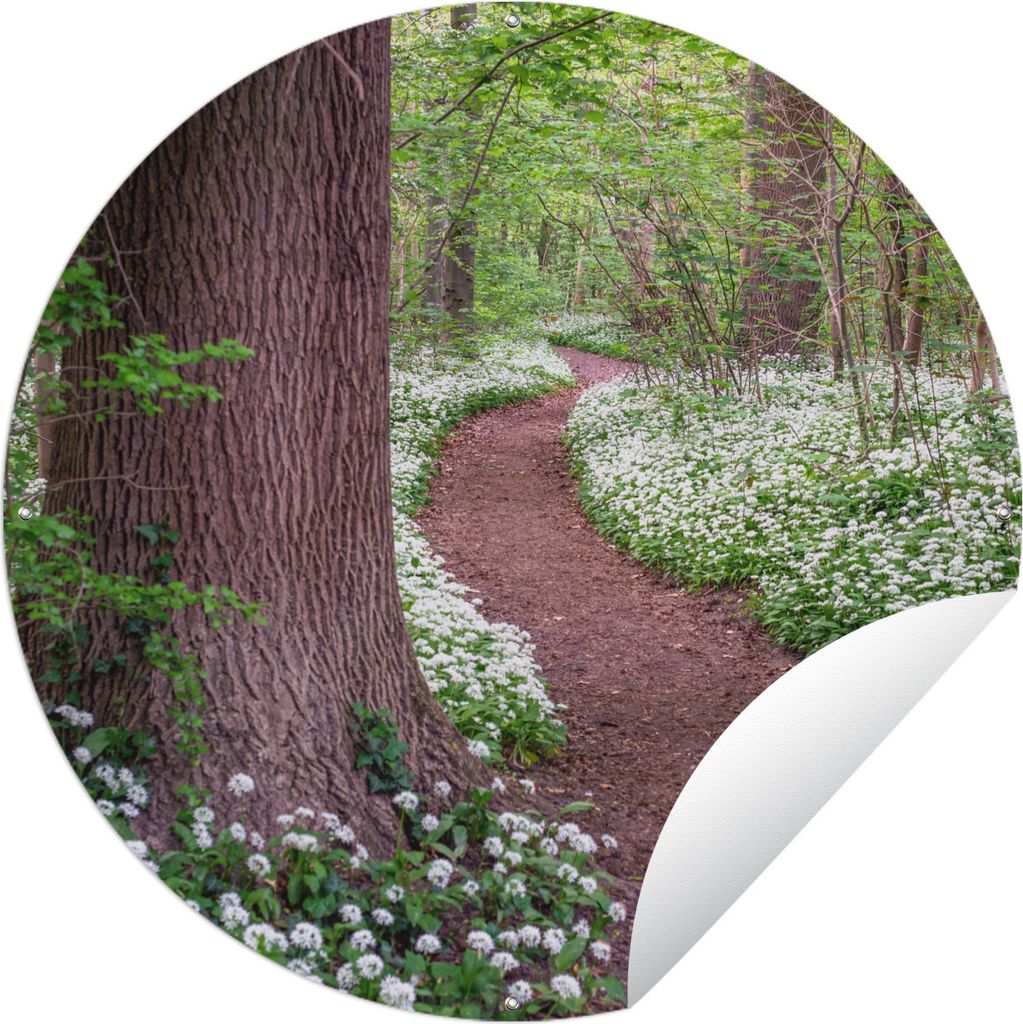 MuchoWow Gartenposter Outdoor-Poster Rund Wald - Weg - Blumen - Weiß Ø 150 cm Gartendeko Rundes Poster draußen