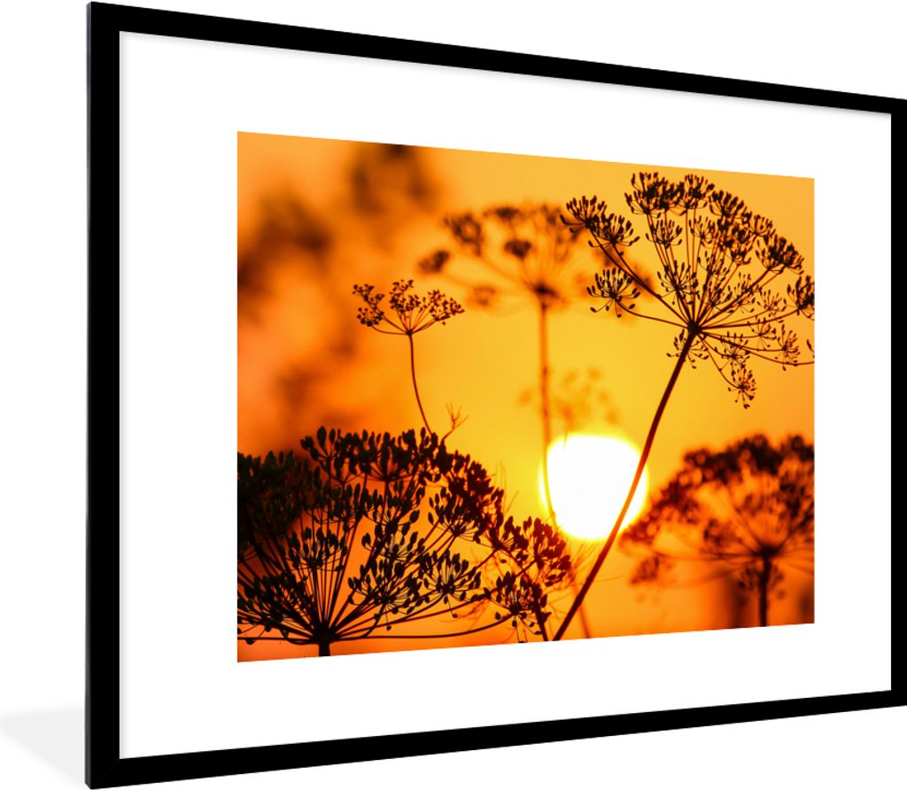 MuchoWow Gerahmtes Poster Pflanzen - Blumen - Sonnenuntergang - Orange 80x60 cm - Poster mit Schwarzem Bilderrahmen Wandposter Rahmen Foto Bilder...