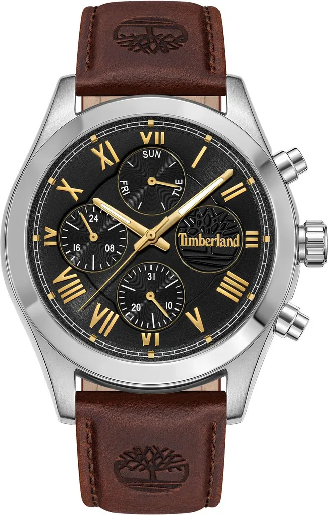 Montre Homme Timberland Ashmont Idéale pour le Quotidien et l'Outdoor