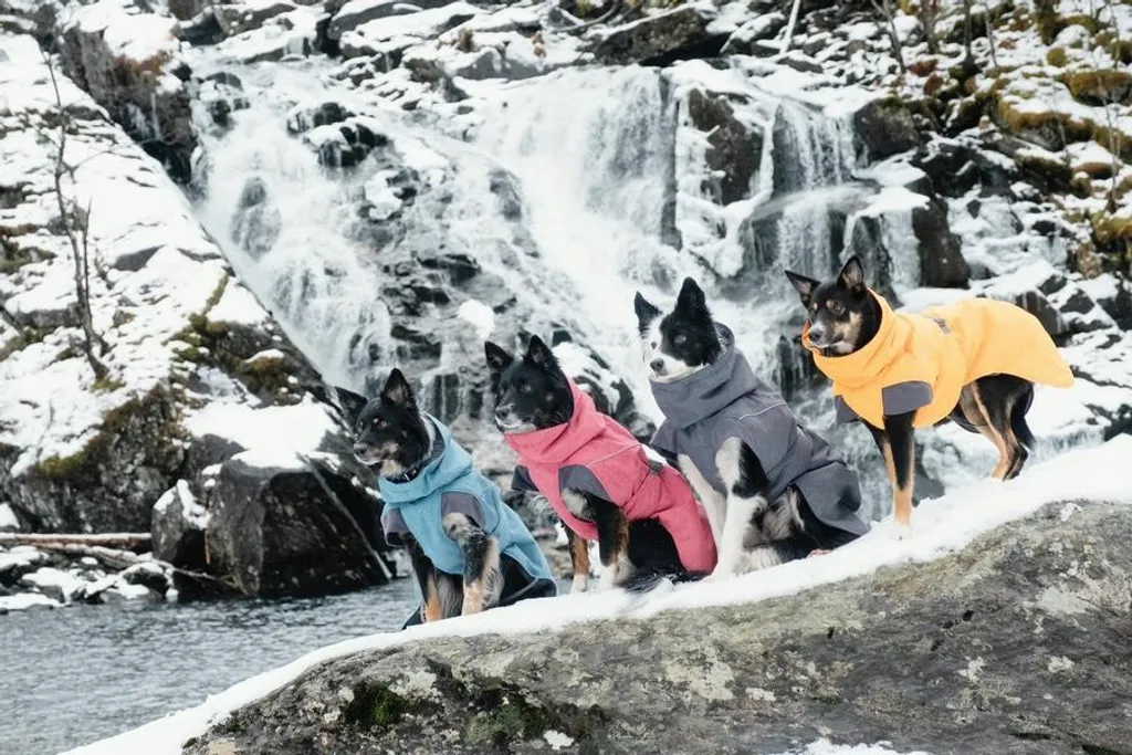 Hurtta Expedition Parka 60 Grigio: Il Top di Gamma Invernale Cane - 7