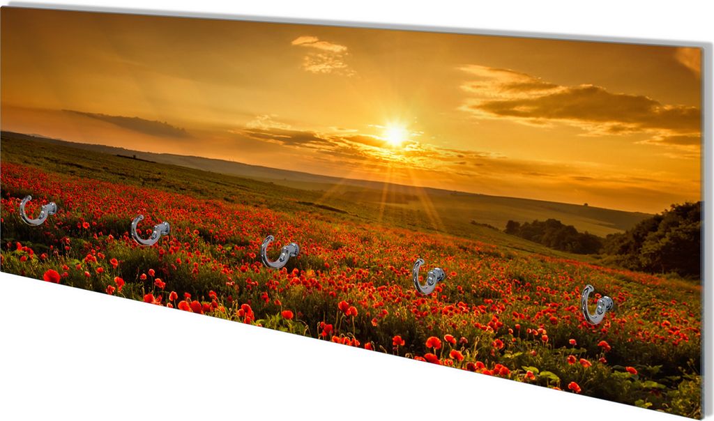 Wallario Flurgarderobe Wandgarderobe aus Glas, mit 5 Haken, Größe 80 x 30 cm, Motiv Mohnblumenwiese bei Sonnenuntergang am Abend