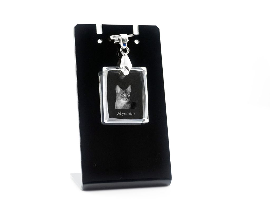Abessinier - Crystal cat pendant, photo necklace, unique jewellery by Art-Dog