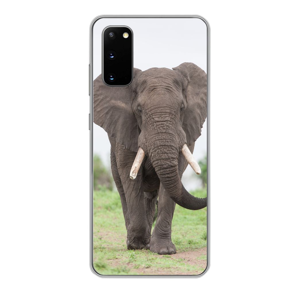 MuchoWow Handyhülle Schutzhülle Hülle für Samsung Galaxy S20 Elefant - Tiere - Gras - Natur Silikon Softcase Handy Hülle - Bild