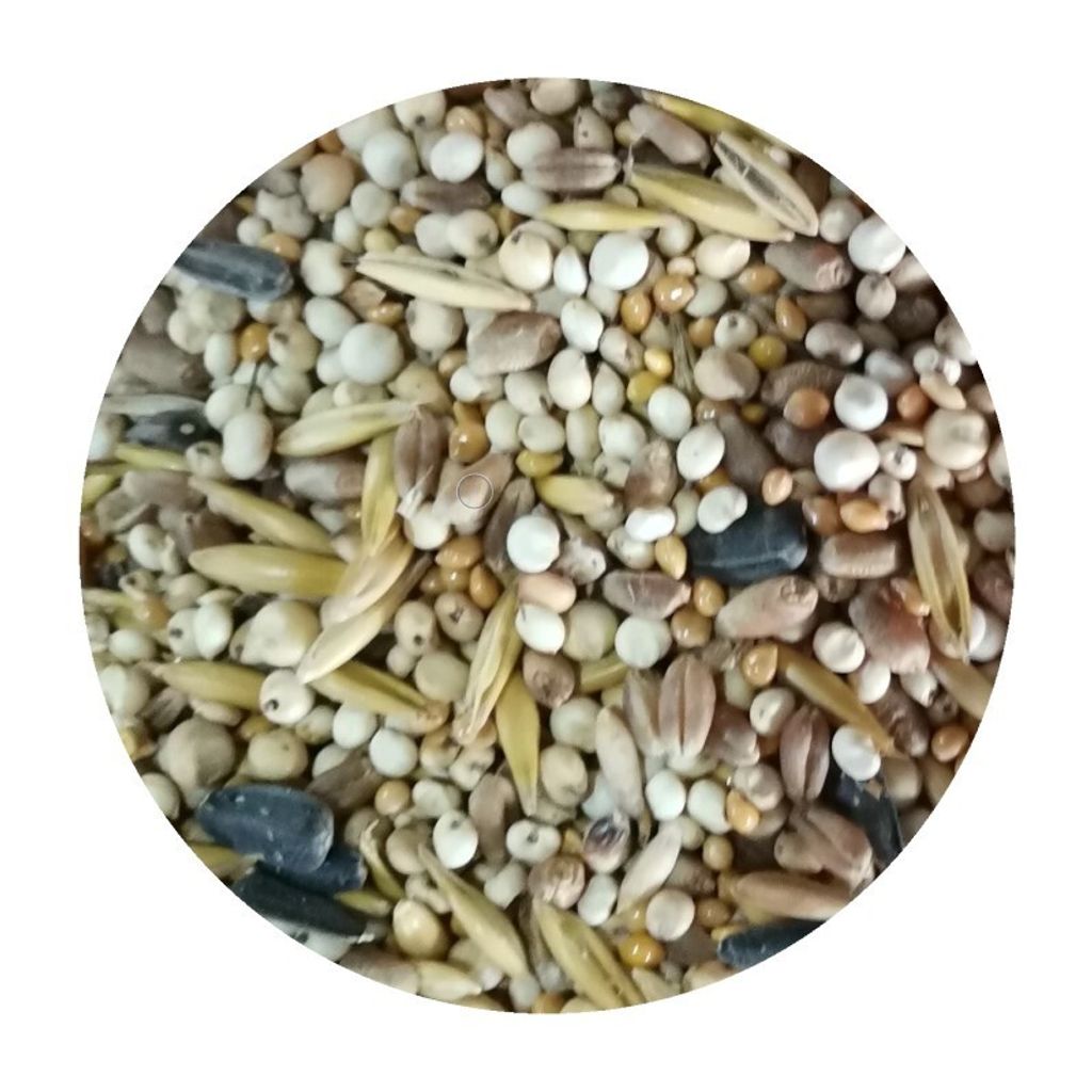 25 kg. Boill Streufutter - direkt vom Hersteller. Produktbild 