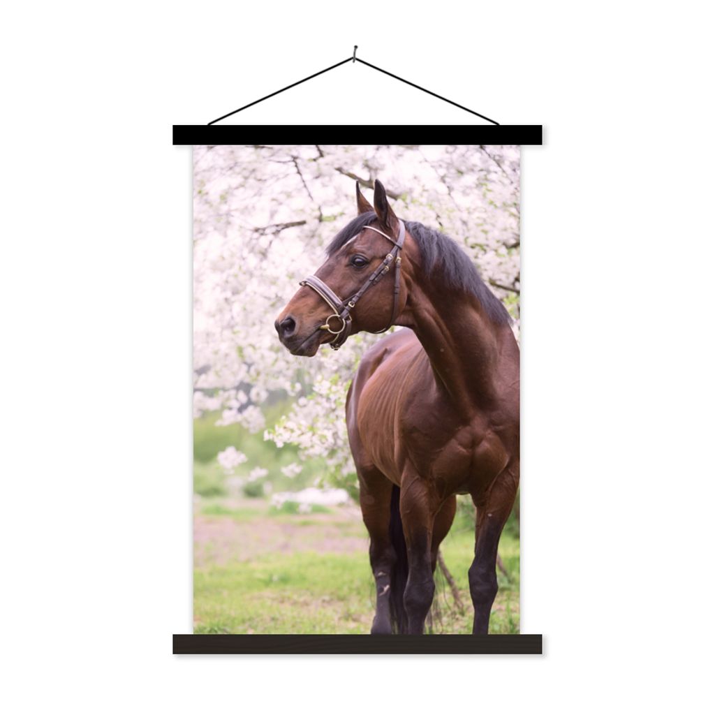 MuchoWow Textilposter Pferd - Sakura - Halfter 40x60 cm mit schwarzem Rahmen - Wanddekorationen