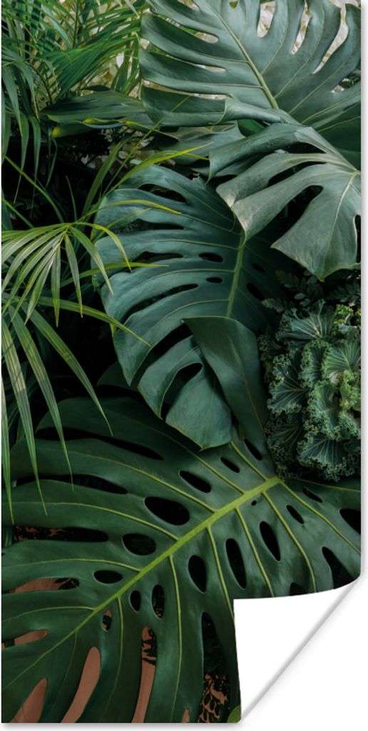 MuchoWow Poster Pflanzen - Dschungel - Blätter - Tropisch 75x150 cm - Dekoration für die Wände
