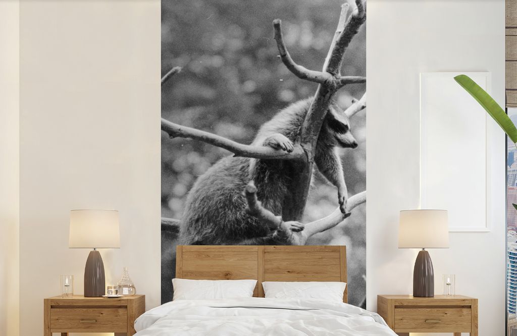 MuchoWow Fototapete für Wohnzimmer oder Schlafzimmer Wandtapete Vinyl Motivtapete Waschbär klettert auf Baum - 120x240 cm - Hintergrundbild