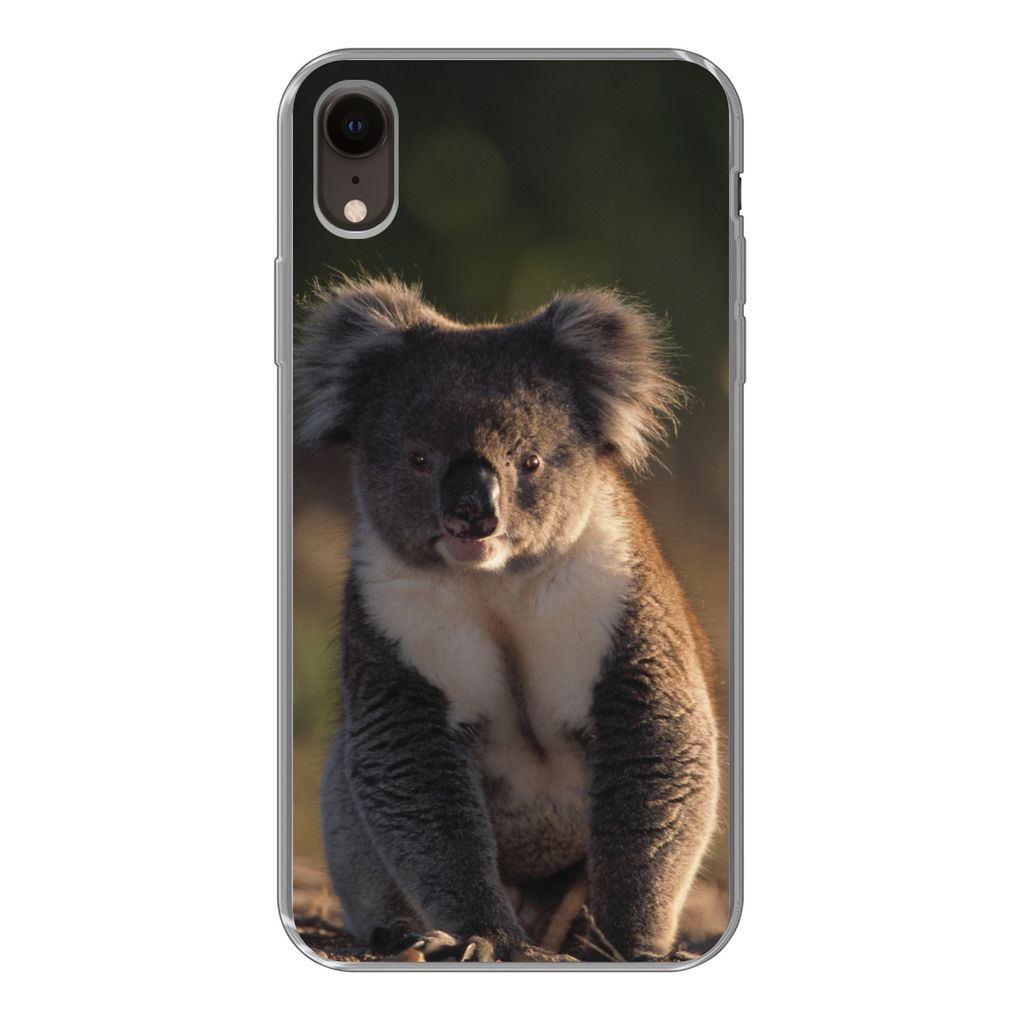 MuchoWow Handyhülle Schutzhülle Hülle für iPhone XR Koala - Sonne - Tier - Kinder - Jungen - Mädchen Silikon Softcase Handy Hülle - Schutzd...