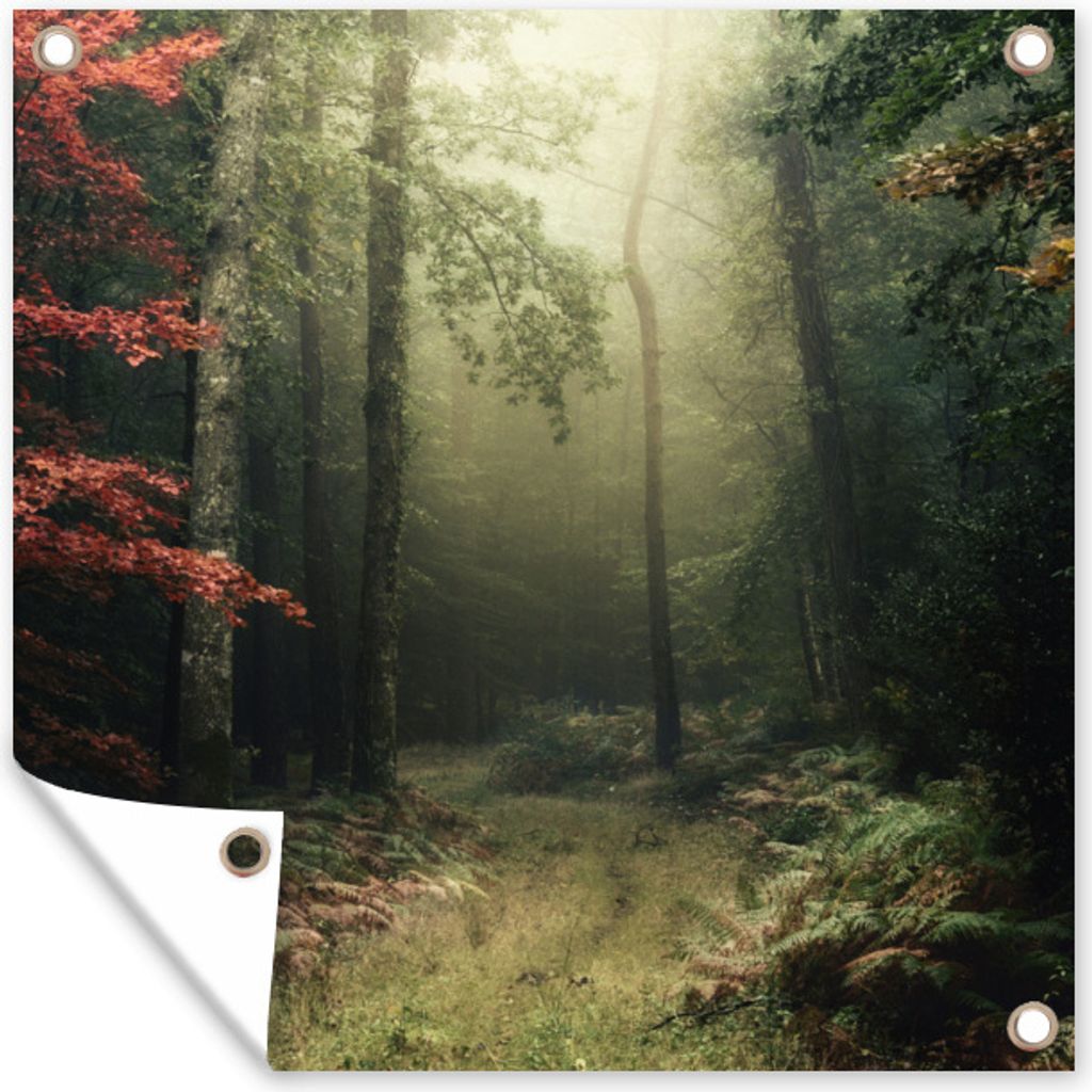 MuchoWow 100x100 cm Outdoor-Poster Gartendeko Sichtschutz Garten Poster für den Garten Dunkelheit - Wald - Bäume