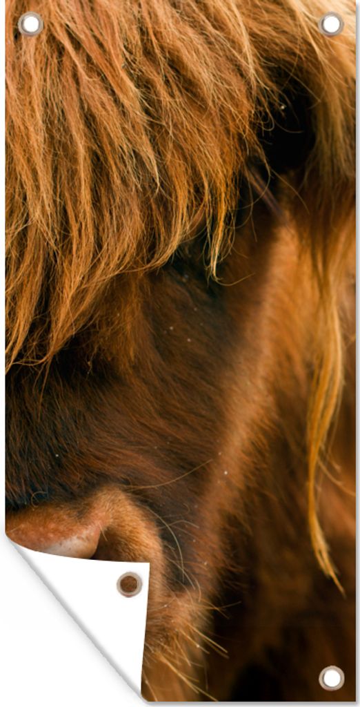 MuchoWow 80x160 cm Outdoor-Poster Gartendeko Sichtschutz Garten Poster für den Garten Schottischer Highlander - Natur - Porträt