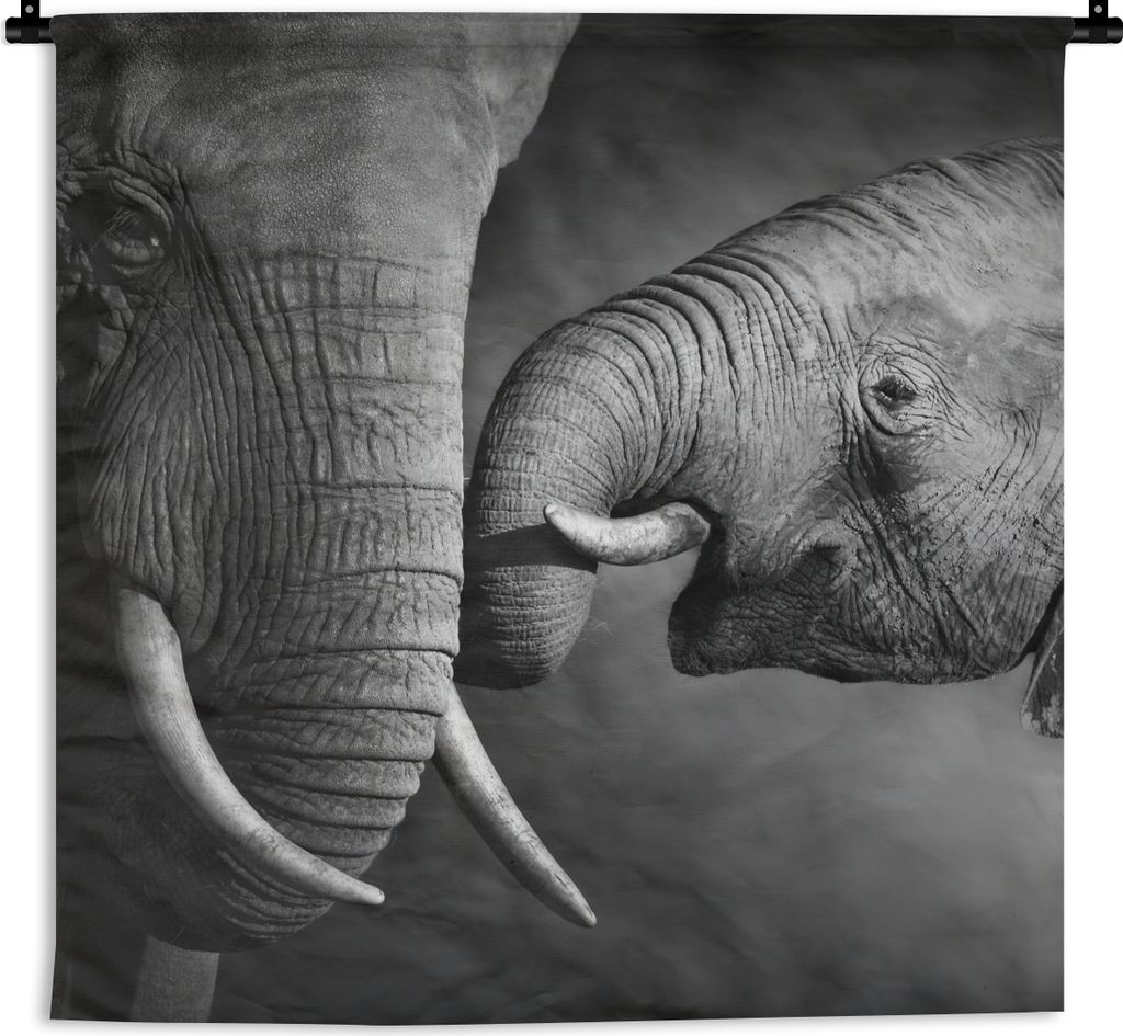 MuchoWow Wandteppich Wandbehang Wildtiere - Elefant - Schwarz - Weiß - Porträt 90x90 cm Tapisserie Dekoration Wandtuch - Wandaufhänger