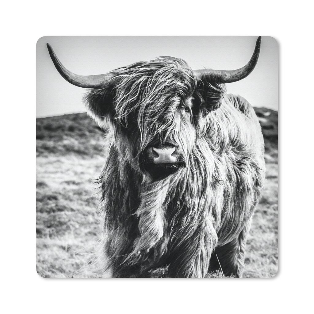 MuchoWow Mauspad Mousepad Schottischer Highlander - Natur - Kuh - Schwarz - Weiß 30x30 cm - Mousepads - Maus Mat - Pad - Mausunterlage - Gaming