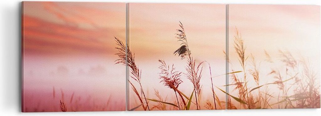Bild auf Leinwand - Leinwandbild - Wiese Getreide Natur - Produktbild 