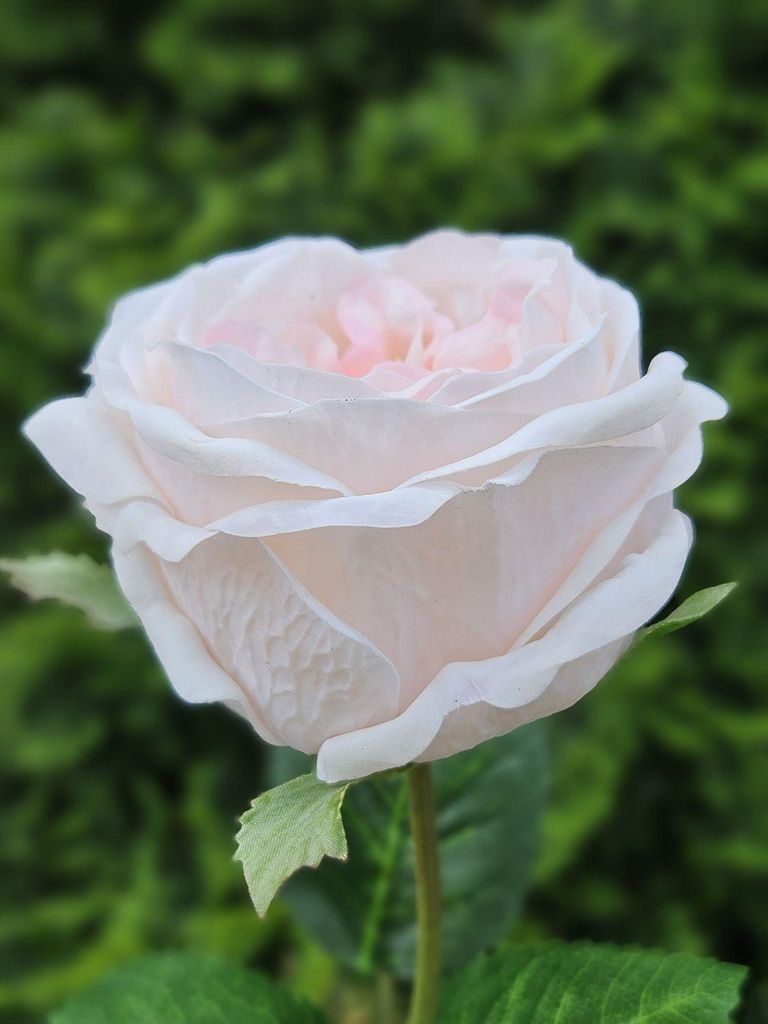 artplants.de Kunstblume Rose MARNUK, Creme-Aprikose, 60cm - Künstliche Rosenblüte