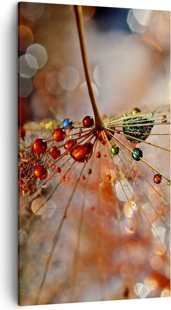 Bild auf Leinwand - Leinwandbild - Spinnennetz modern - 45x80cm - Wand Bild - Wanddeko - Wandbilder - Leinwanddruck - Bilder - Kunstdruck - Wanddek...