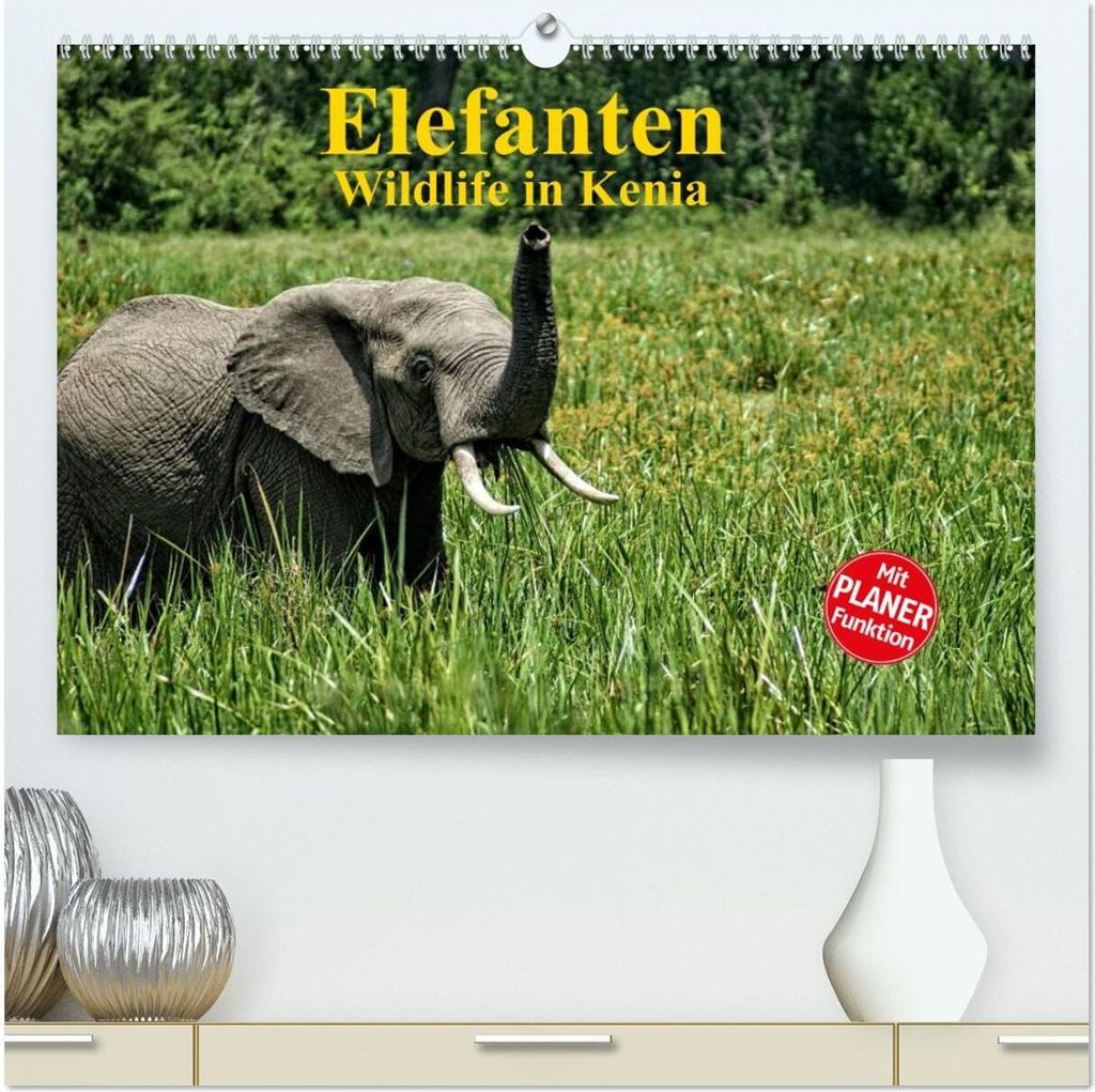 Elefanten . Wildlife in Kenia (hochwertiger Premium Wandkalender 2026 DIN A2 quer), Kunstdruck in Hochglanz