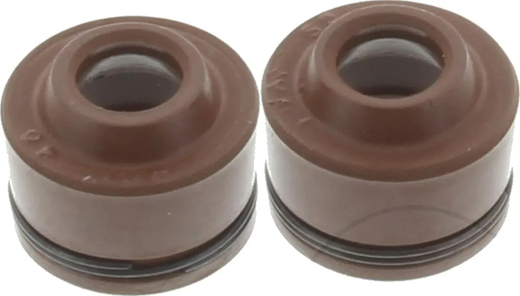 Joint de Queue de Soupape Polaris Outlaw 110 Lot de 2 Pièces Neuves