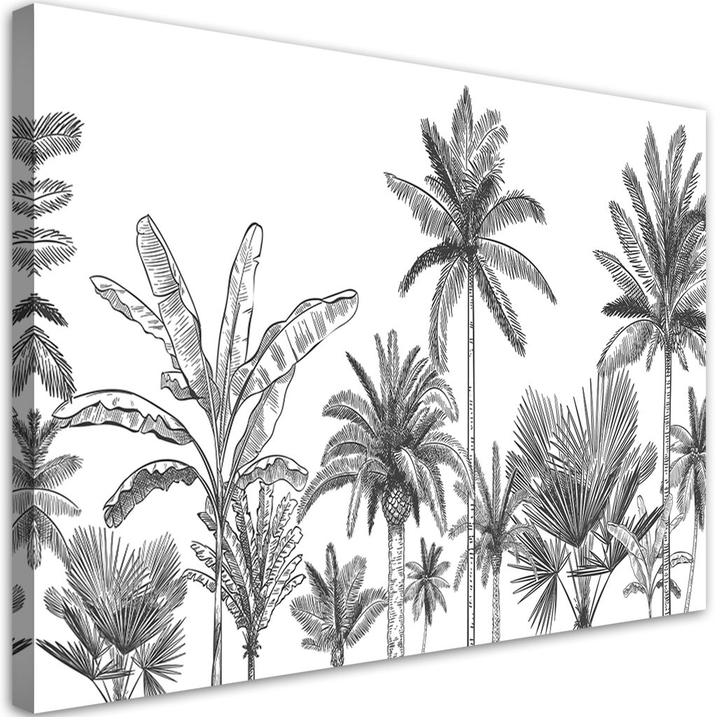Leinwandbild Schwarze und weiße Palmen 120x80 Feeby Schwarz-Weiß bild für die wand bereit zum aufhängen