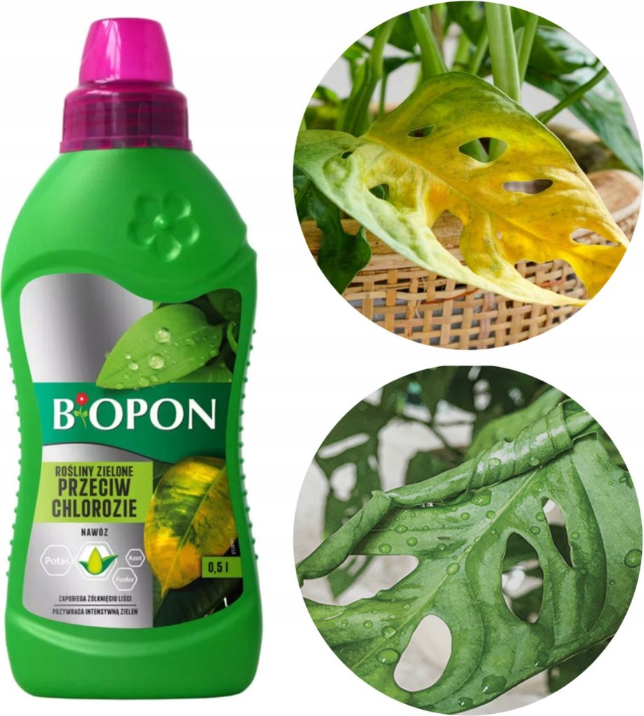 Dünger für grüne Pflanzen gegen Vergilbung 0,5 l