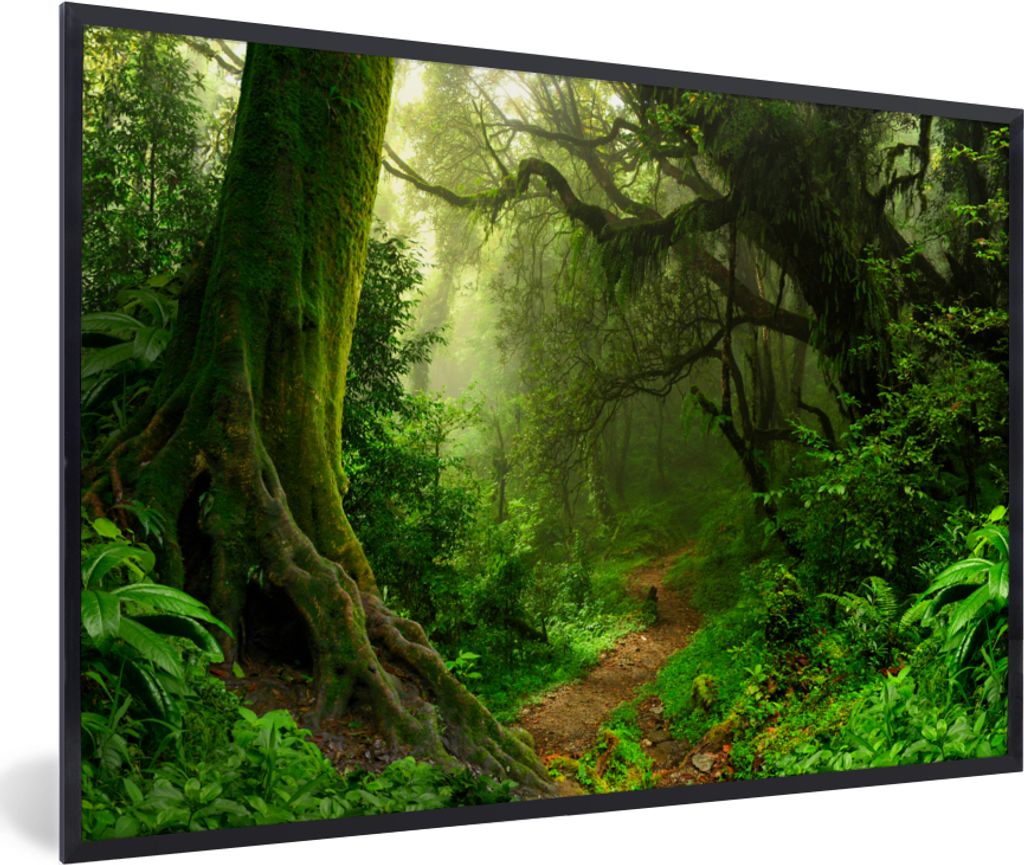 MuchoWow MuchoWow Gerahmtes Poster Dschungel - Pfad - Nepal - Jungen - Mädchen - Kind 90x60 cm - Poster mit zchwarzem Bilderrahmen - Fotorahme...