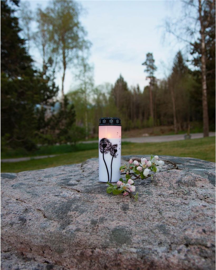 Star Trading LED Grabkerze, Gedenkkerze, Dandelion‘, Timer, Produktbild 9