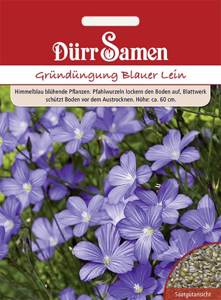 Dürr-Samen - Gründüngung Blauer Lein 60 g - Saatgut - 4176