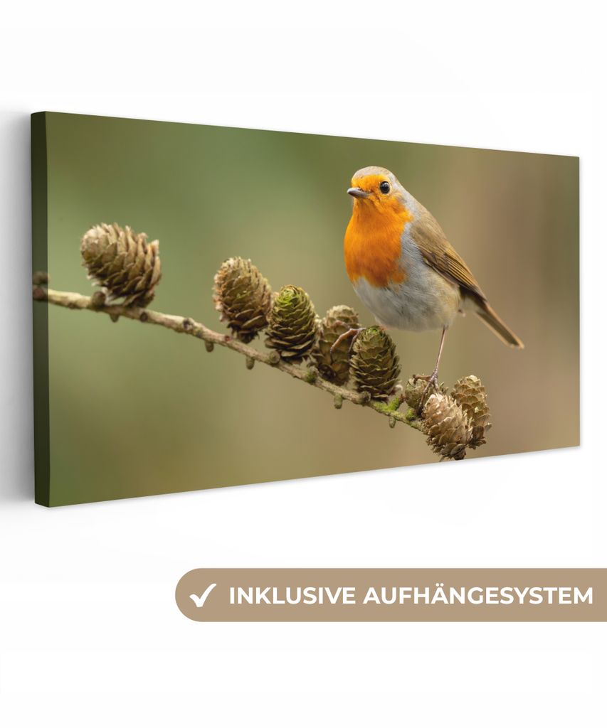 MuchoWow - Leinwandbilder - Vogel - Rotkehlchen - Tannenzapfen - Zweig - Herbst, Wandbild, Wanddeko Bilder Wohnzimmer, 80x40 cm
