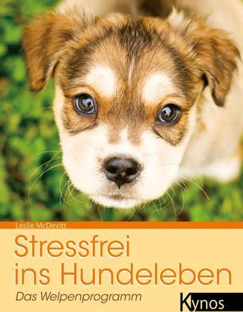 Guide Stressfrei ins Hundeleben pour accueillir un chiot sereinement