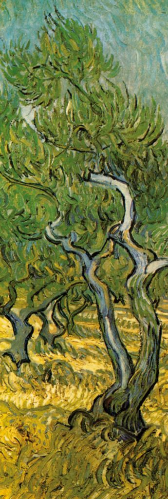Vincent Van Gogh Kunstdruck Bild - Olivenhain, 1889 (158 x 53 cm)